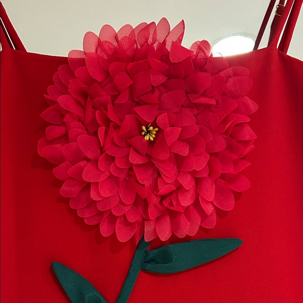 Elliatt Buttercup Embroidered Maxi Dress In Red - Picture 5 of 11